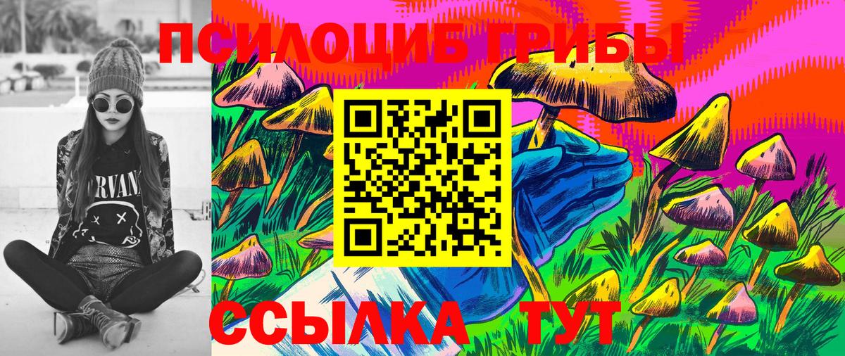 Псилоцибиновые грибы мухоморы  наркота  Камышлов  Вход с VPN 